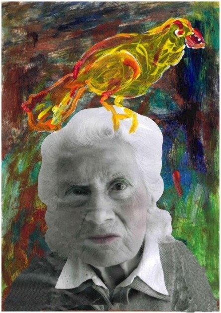 drole de bete mme quillon